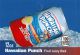 Hawaiian Punch on ice medium size flavor strip
