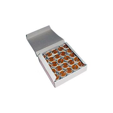 25 - FS-4 Lamps starters